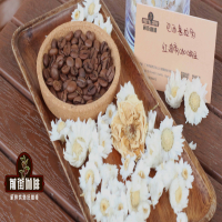 巴西咖啡豆特色介绍 巴西咖啡产地种类味道口感特点