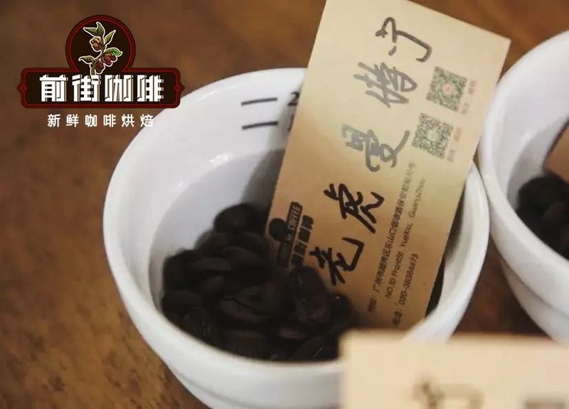 让浓缩与冰奶轻盈入喉：Dirty的咖啡因考量与全天选豆饮用步调